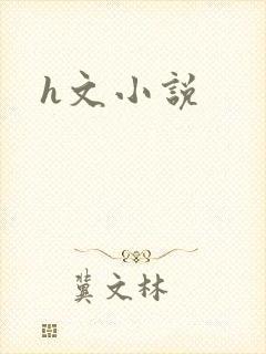 h文小说