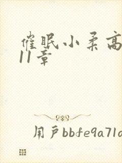 催眠小柔高达第11章