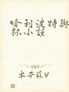 哈利波特与火焰杯小说