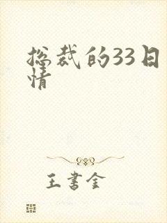 总裁的33日索情