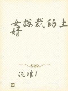 女总裁的上门女婿