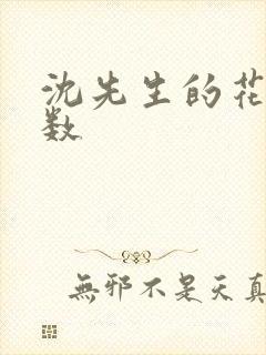 沈先生的花式调数