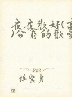 夜夜欢好(高h)公翁的欢爱h