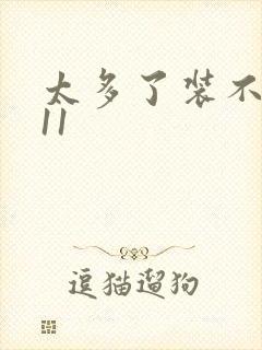 太多了装不下H11