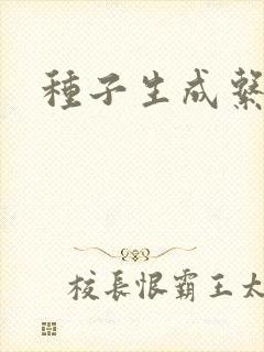 种子生成系统封面