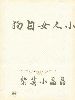 狗日女人小说