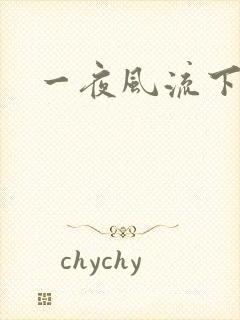 一夜风流下载