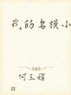 我的名模小娇妻