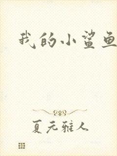 我的小鲨鱼
