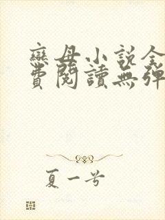 恋母小说全文免费阅读无弹窗笔趣阁