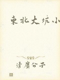 东北大坑小说