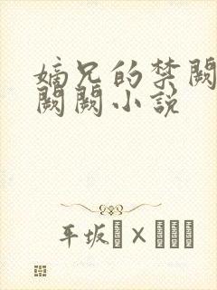 嫡兄的禁阙 华阙阙小说