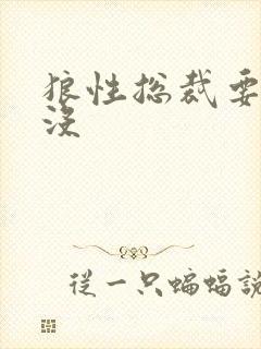 狼性总裁要够了没