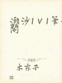 潮沙1∨1笔趣阁