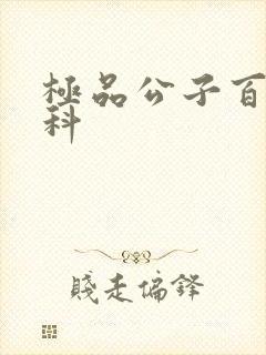 极品公子百度百科