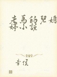 老马的儿媳顾婉婷小说