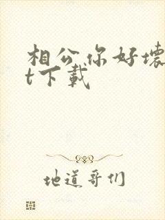 相公你好坏txt下载
