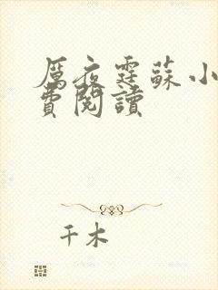 厉夜霆苏小汐免费阅读