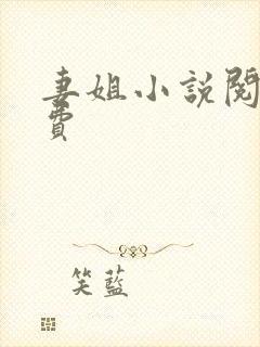 妻姐小说阅读免费封面
