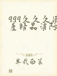 999久久久国产精品消防器材封面