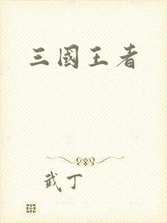 三国王者