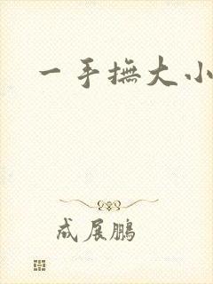 一手抚大小说