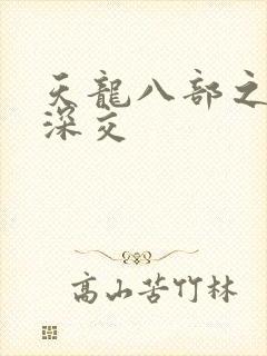 天龙八部之极乐深交