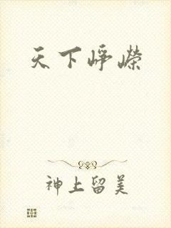 《天下峥嵘》小说封面