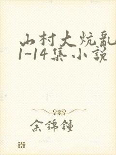 山村大炕乱肉续1-14集小说