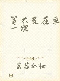 等不及在车里做一次