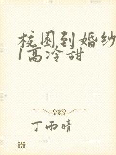 校园到婚纱1V1高冷甜