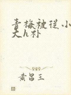 青梅被从小摸到大h补封面