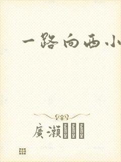 一路向西小说
