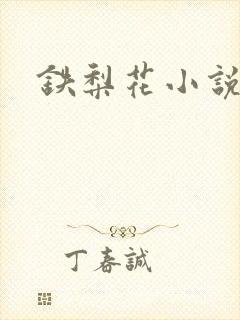 铁梨花小说