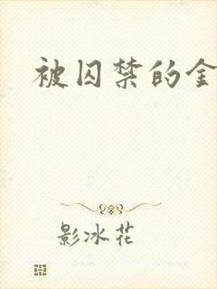 被囚禁的金丝雀