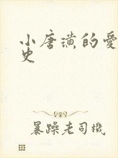 小唐璜的爱情历史