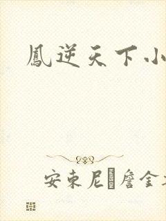 凤逆天下小说