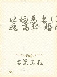 以婚为名 (军魂 高干 婚恋)
