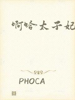 啊哈太子妃好骚