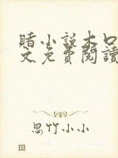 赌小说木口银全文免费阅读笔趣阁