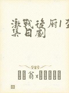 激战后厨1至5集日剧