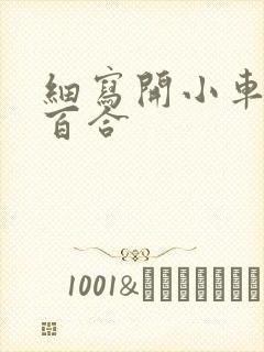 细写开小车车的百合