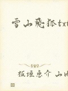 雪山飞狐txt