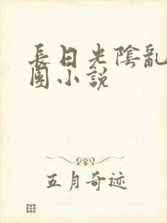 长日光阴乱作一团小说