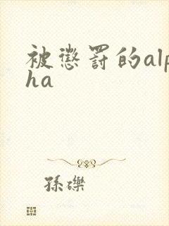 被惩罚的alpha