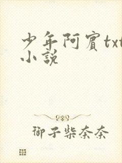 少年阿宾txt小说