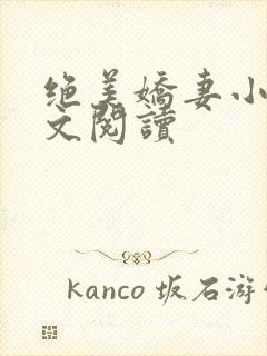 绝美娇妻小说全文阅读