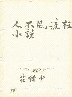 人不风流枉少年小说