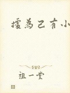 据为己有小说封面