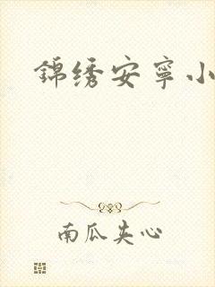 锦绣安宁小说